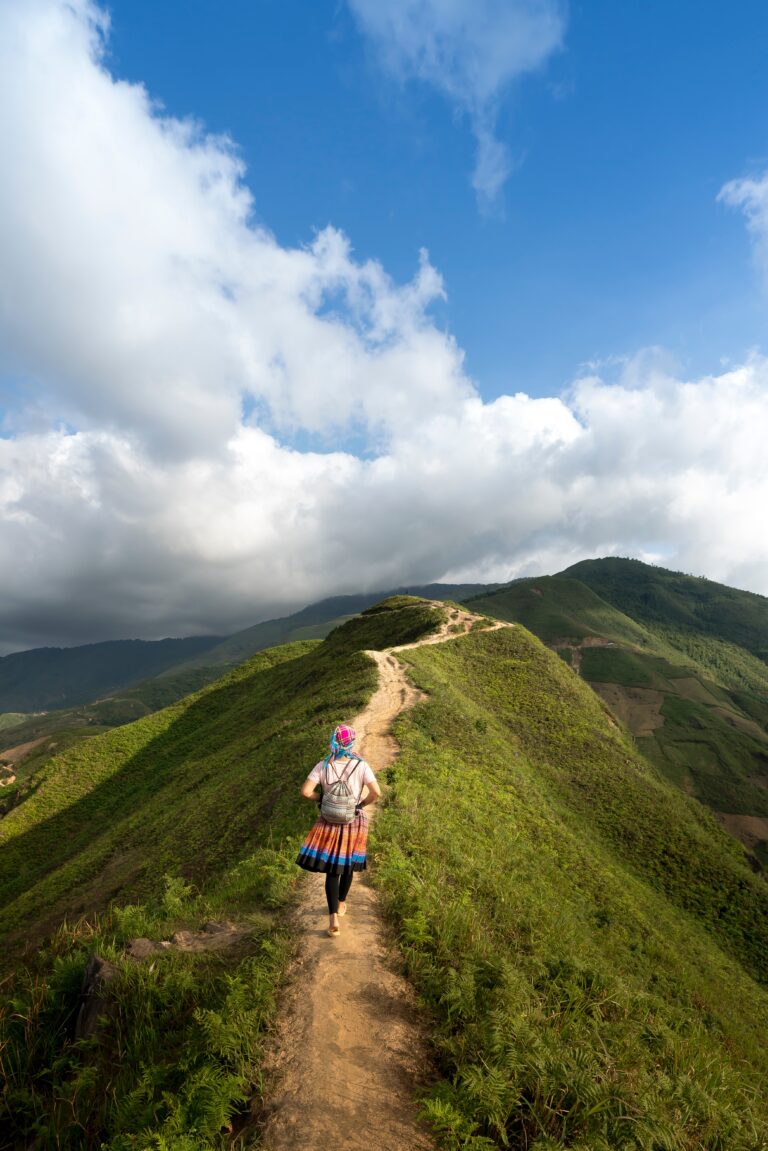 What is Trip Cancellation Insurance? What are the Top Trip Cancellation Insurance Companies in the US?